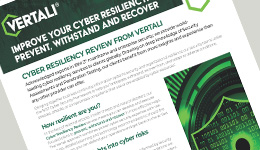 Vertali Cyber Resiliency Flyer